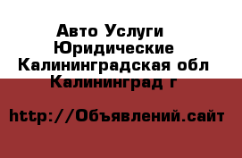 Авто Услуги - Юридические. Калининградская обл.,Калининград г.